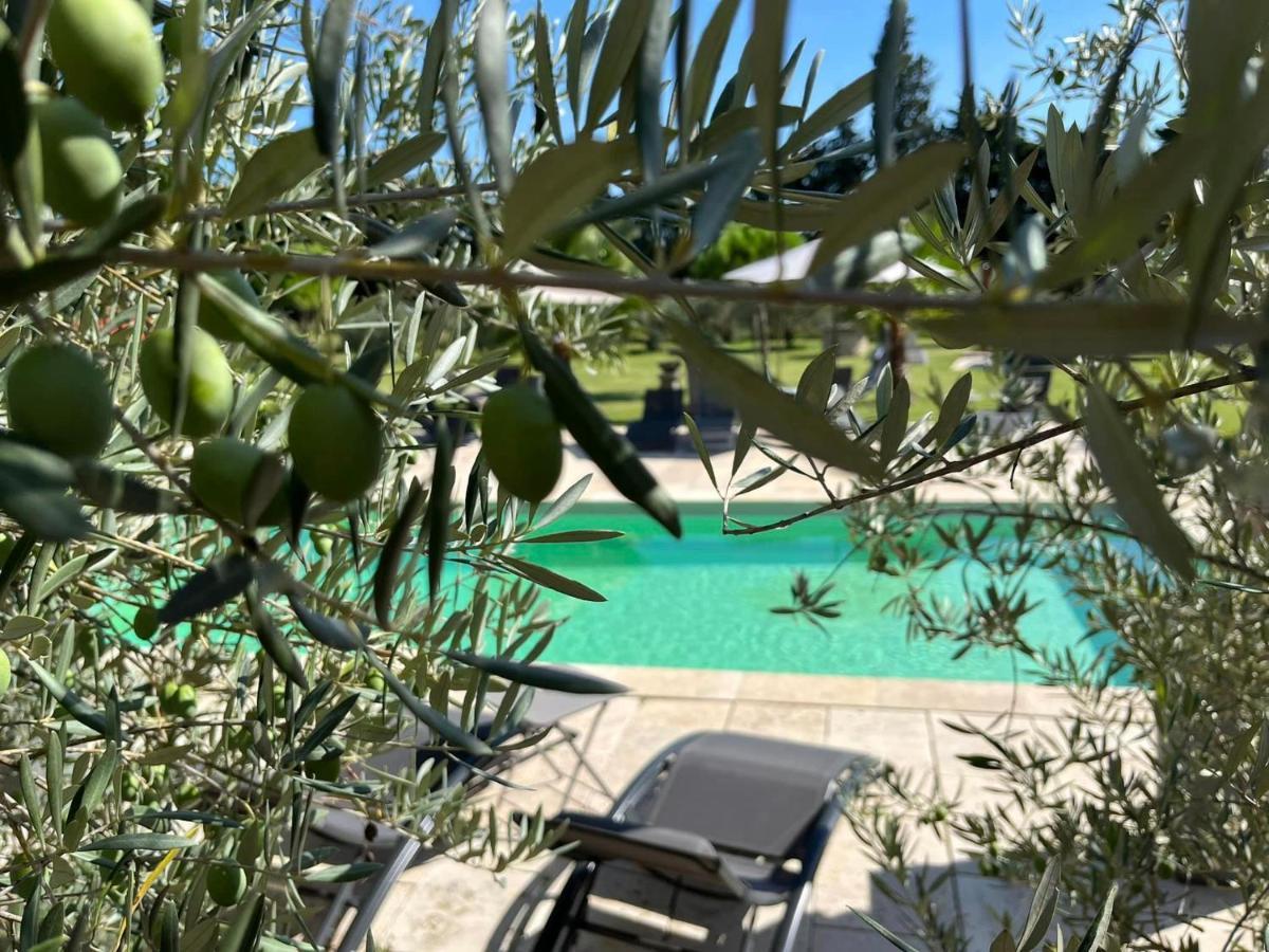 Mas De Nonin St Remy De Provence Hotel Noves Bagian luar foto
