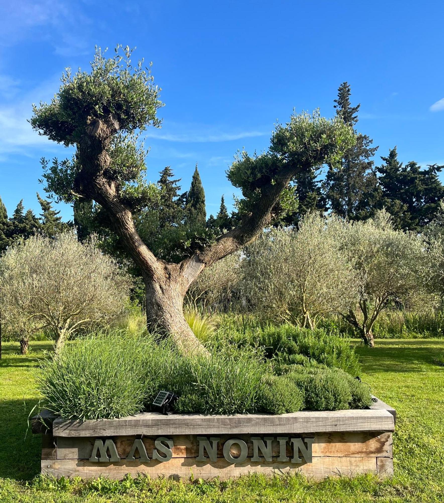 Mas De Nonin St Remy De Provence Hotel Noves Bagian luar foto